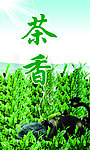 茶叶
