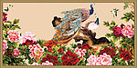 花开富贵 孔雀
