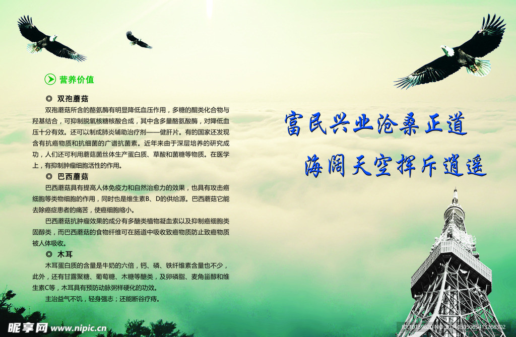 企业文化