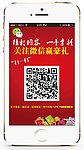 微信二维码