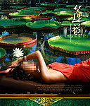 荷叶 莲花 美女