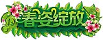 春季吊牌