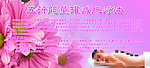 美容图片