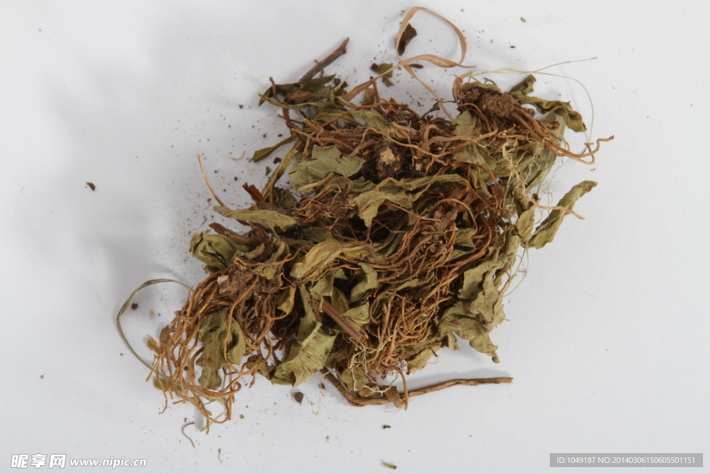 灯盏花