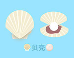 贝壳 珍珠 大海