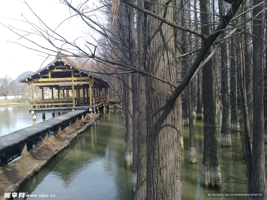 长庭亭古道