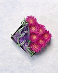 百花争艳