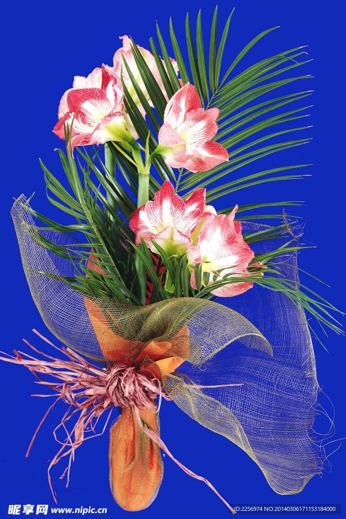 百花争艳