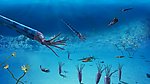 海洋生物
