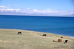 青海湖