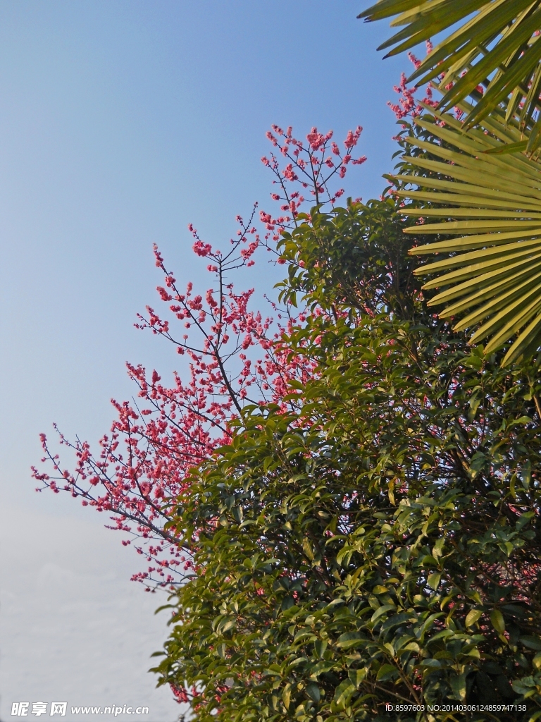 春暖花开