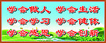 学校展板