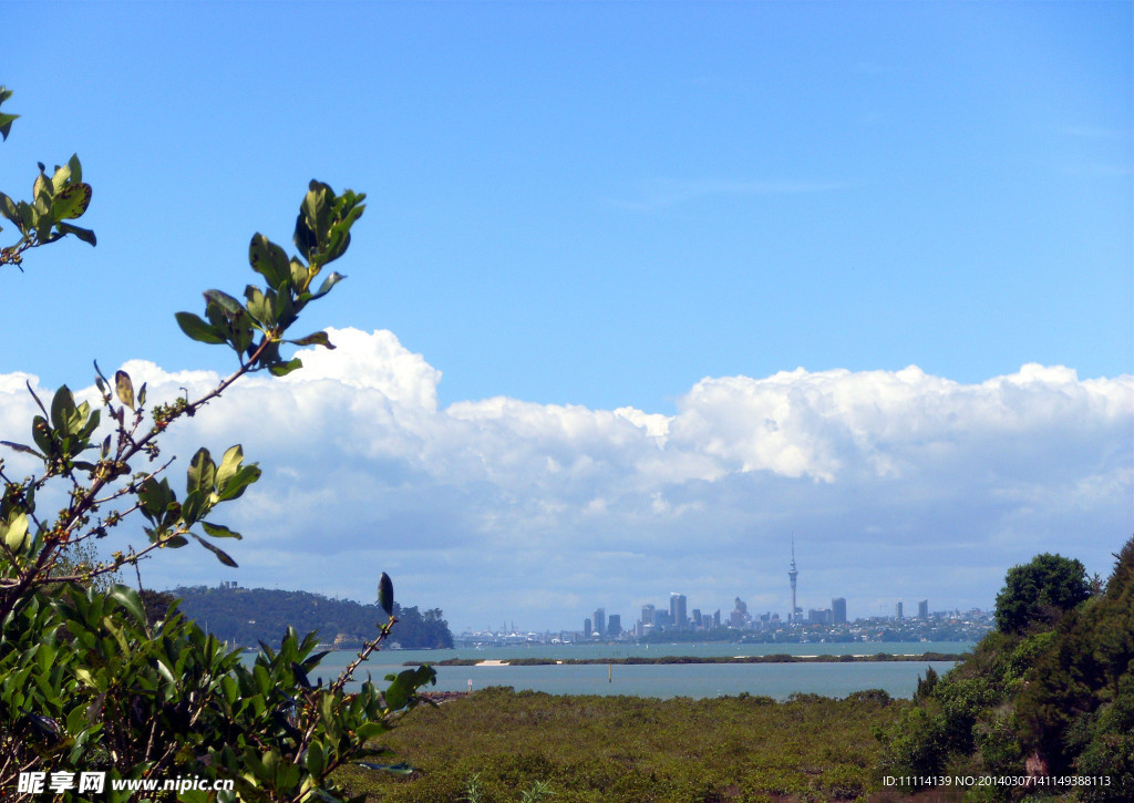 新西兰码头风景