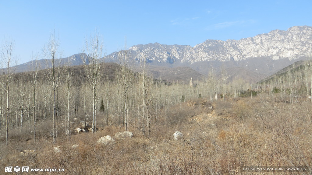 远眺嵩岳寺塔