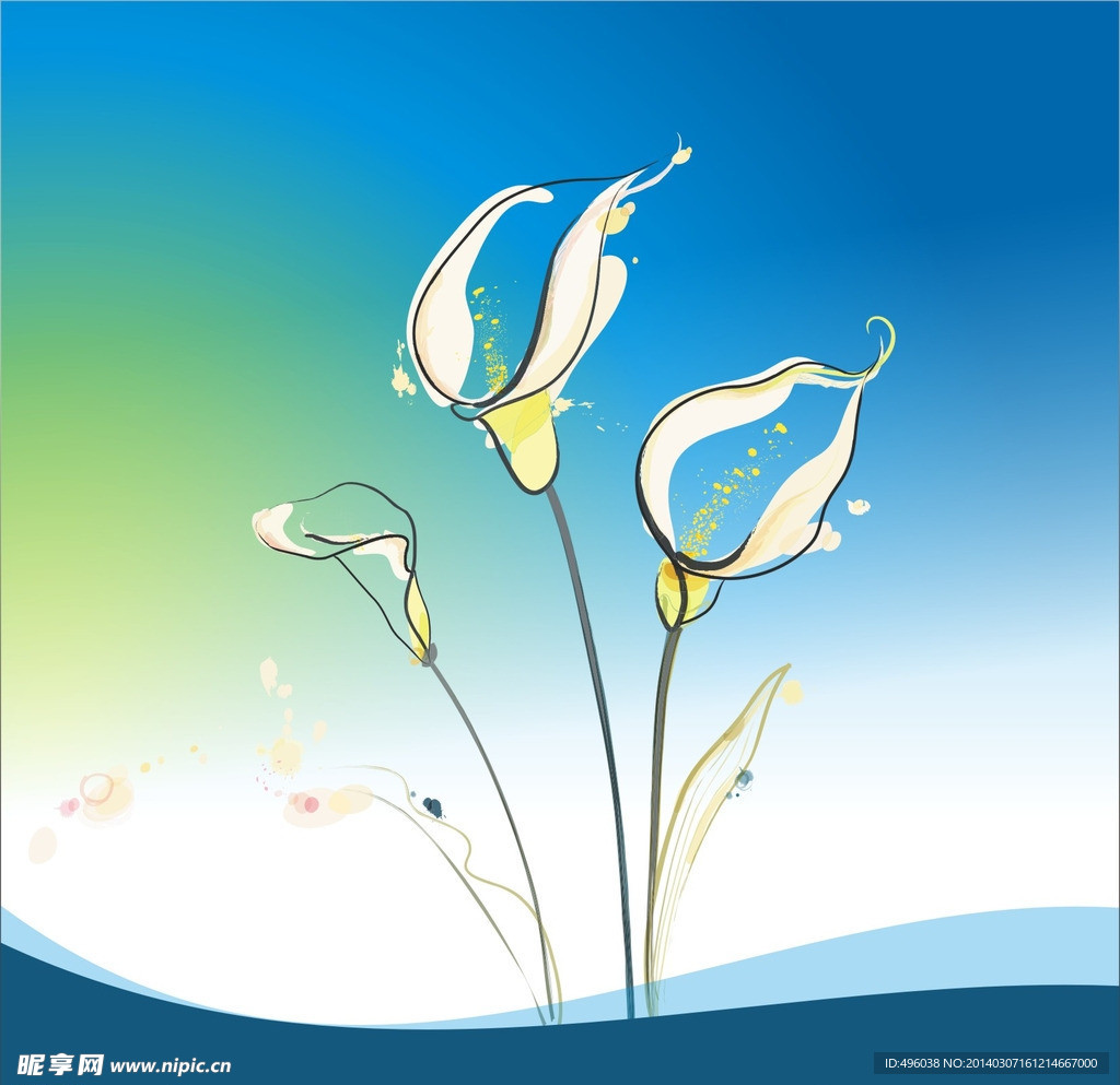马蹄莲