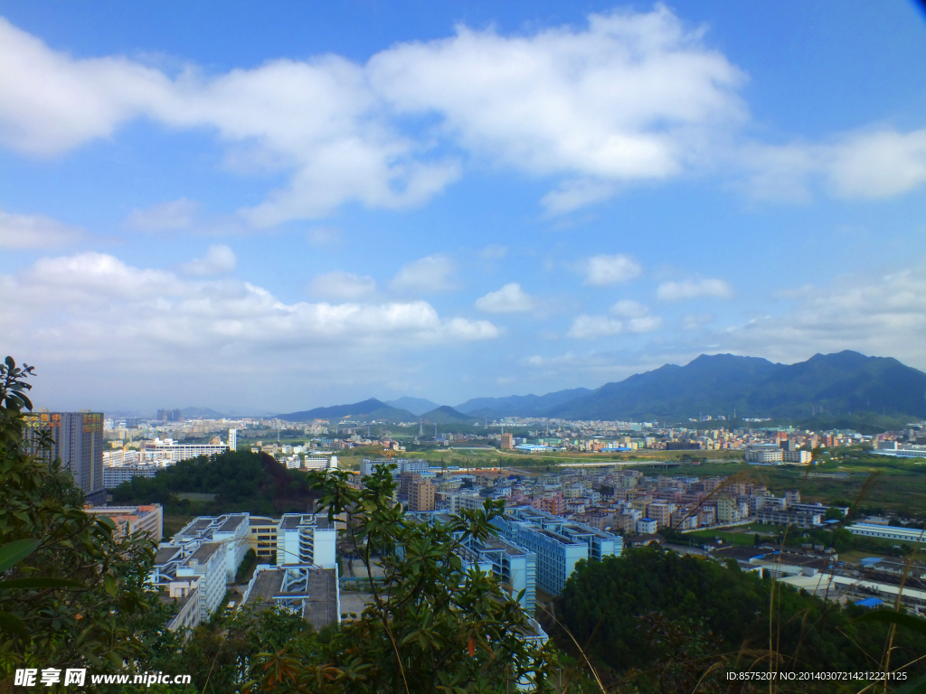 坪山新区景