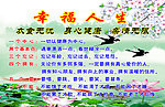 荷花鲤鱼幸福人生