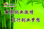 青竹