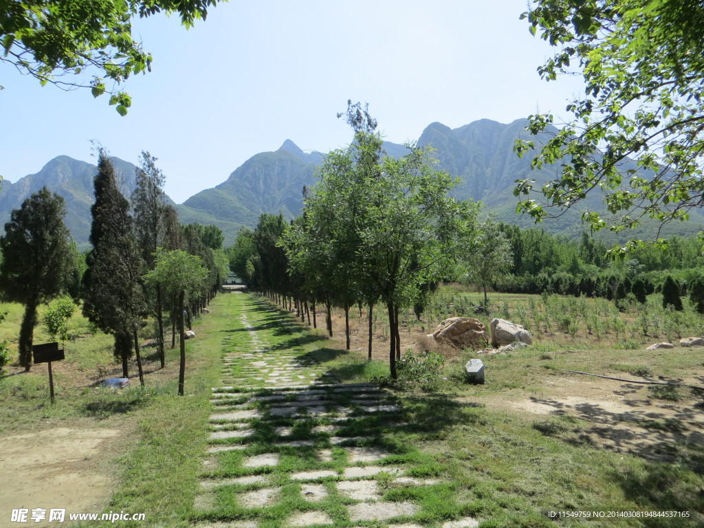 登封 少室阙景区