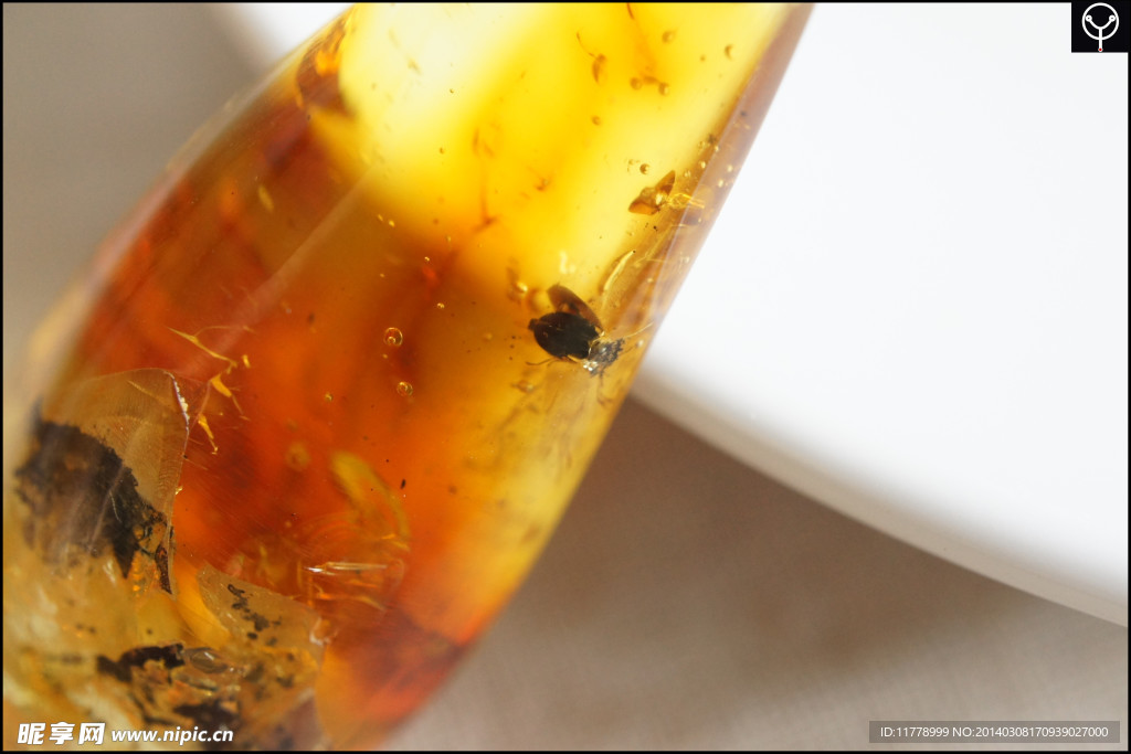 泓霖 波罗的海虫珀