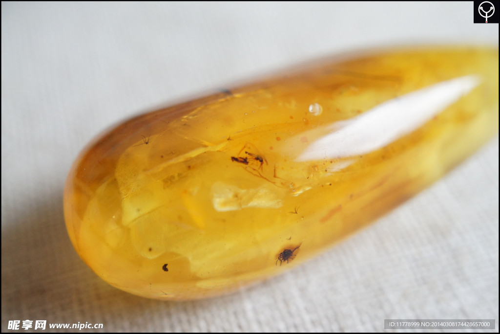 泓霖 波罗的海虫珀
