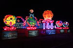 灯展