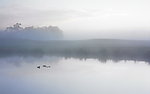 水墨风景