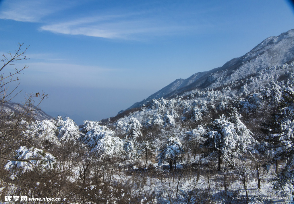 临安 雾松 雪山