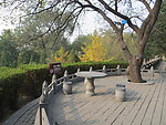 嵩阳书院小景
