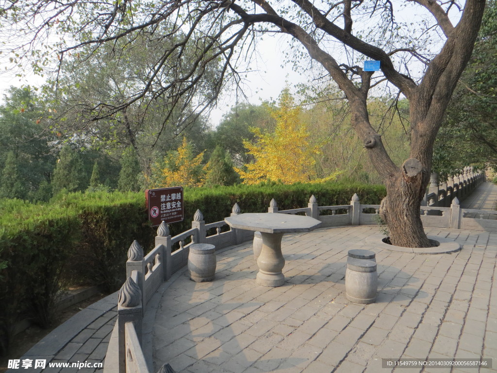 嵩阳书院小景