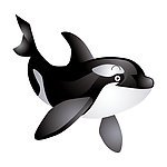 海豚