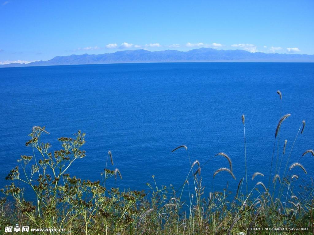 湖景色