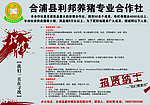 利邦养猪专业合作社