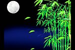 竹林月色视频