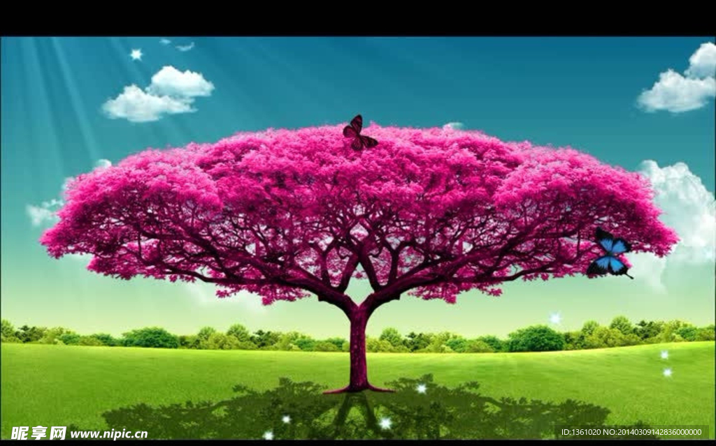 粉色许愿树视频