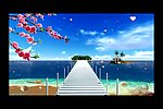 海岸花朵码头视频