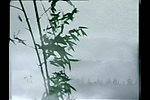 水墨竹子风景画视频