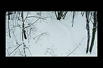 冬雪融化视频