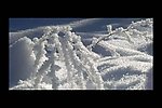 雪地冰雪视频