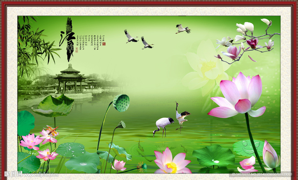 荷花图