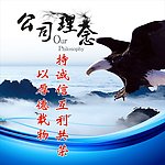 公司理念
