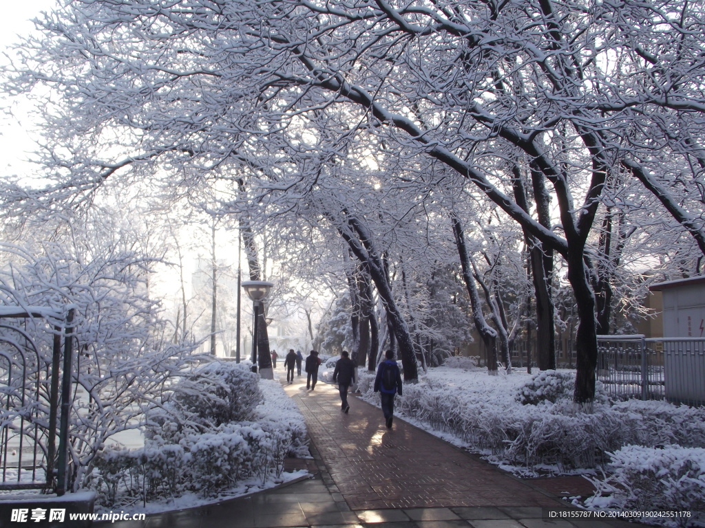 中国科学院大学的雪