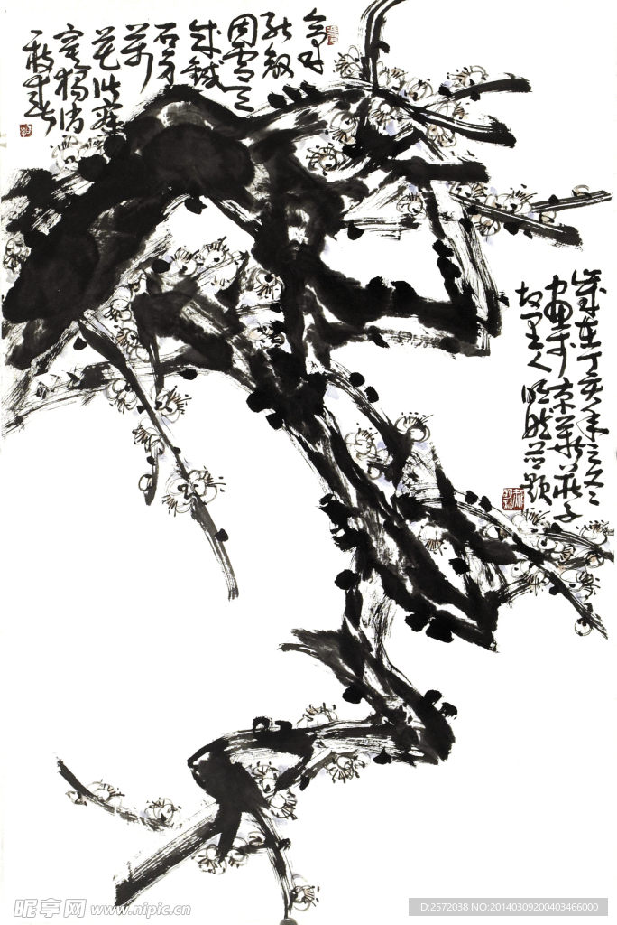 老梅新枝