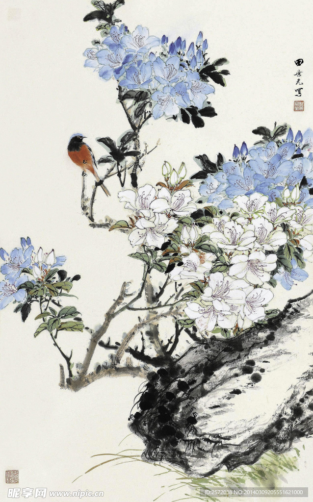 禽栖花枝头