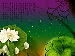 荷花