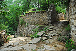 青州井塘古村
