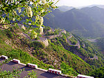 青州仰天山九龙盘