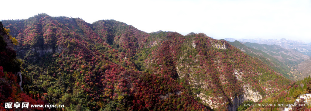 青州仰天山红叶