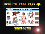 消化系统解剖图展板