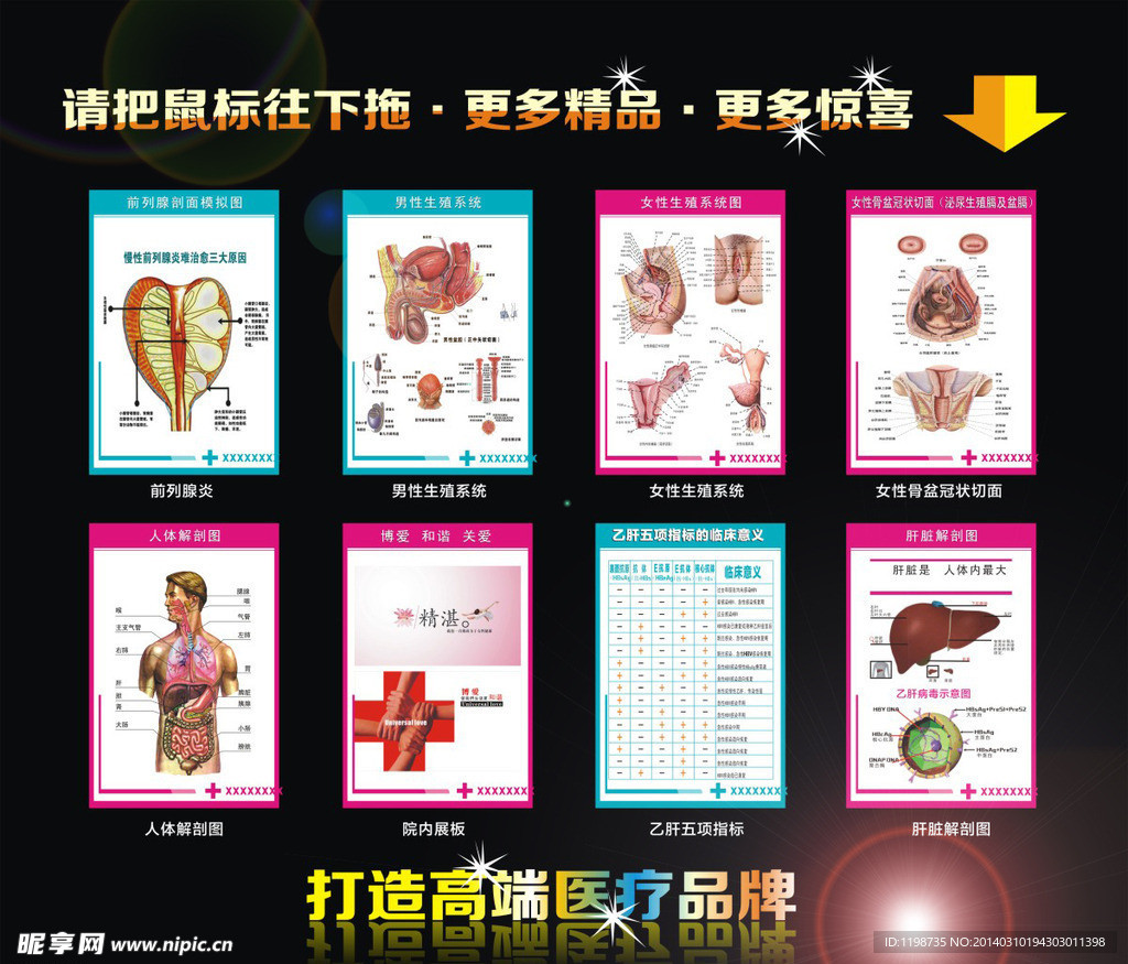 医疗各种解剖图总汇